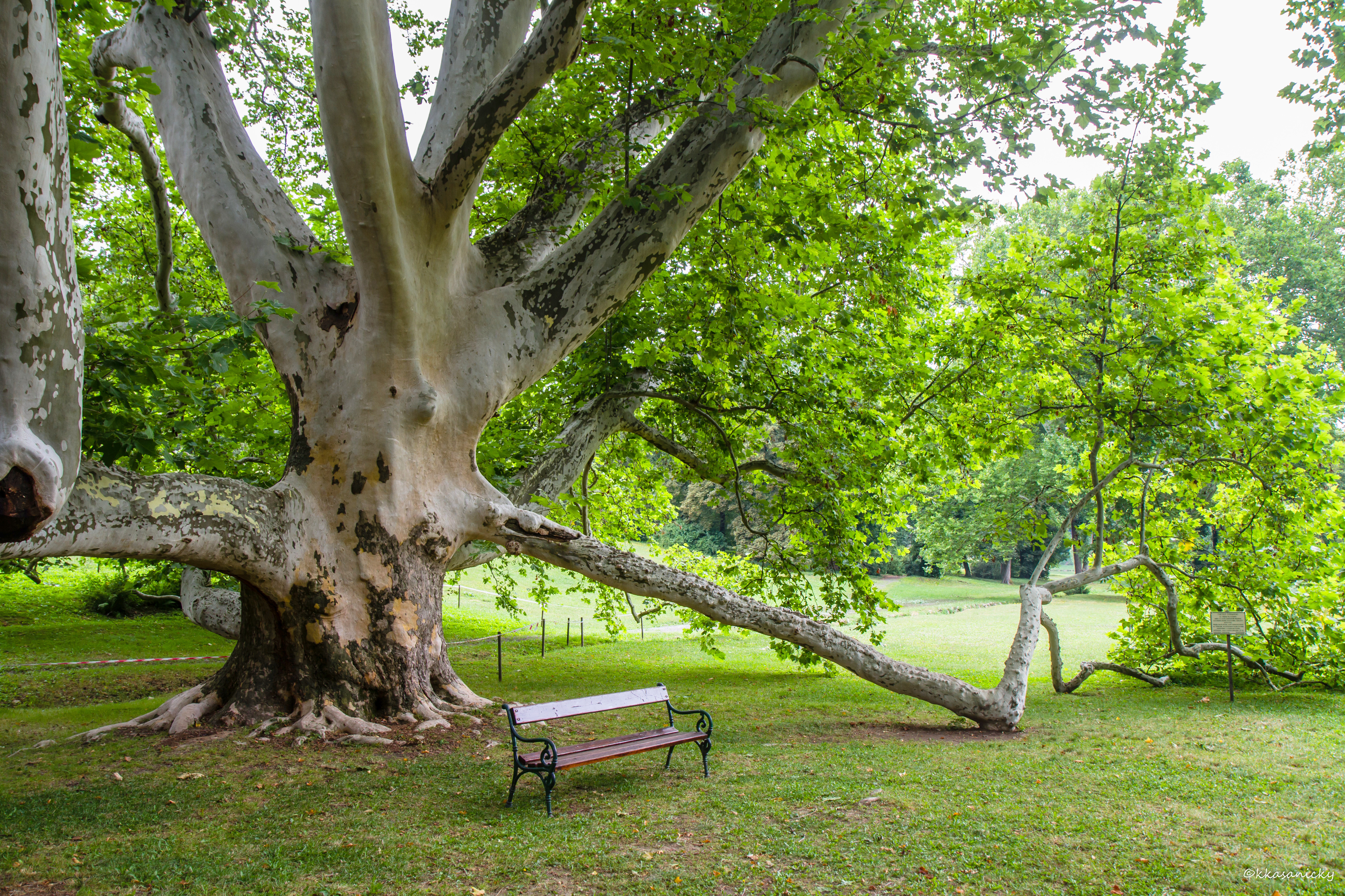 JARNÝ  KURZ MBSR naživo online   -  UTORKY 12. 5. 2026   - 30. 6. 2026 ( od  17,00 - 19,30 )   
